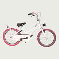 20.1769 kinderfiets - BikeFlip