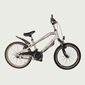 20.1794 kinderfiets - BikeFlip