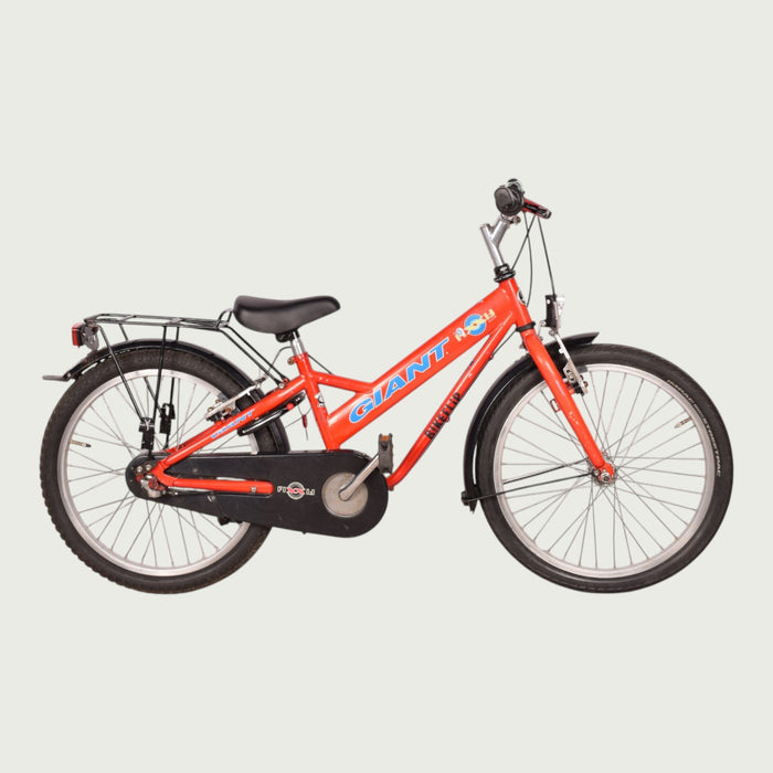 20.182 kinderfiets - BikeFlip