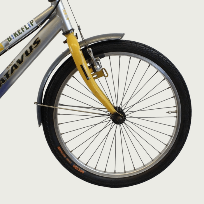 20.1 - BikeFlip