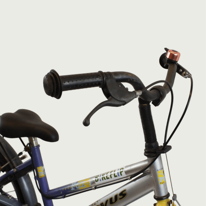 20.1 - BikeFlip