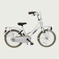 20.210 - BikeFlip