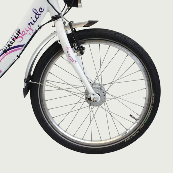 20.252 - BikeFlip