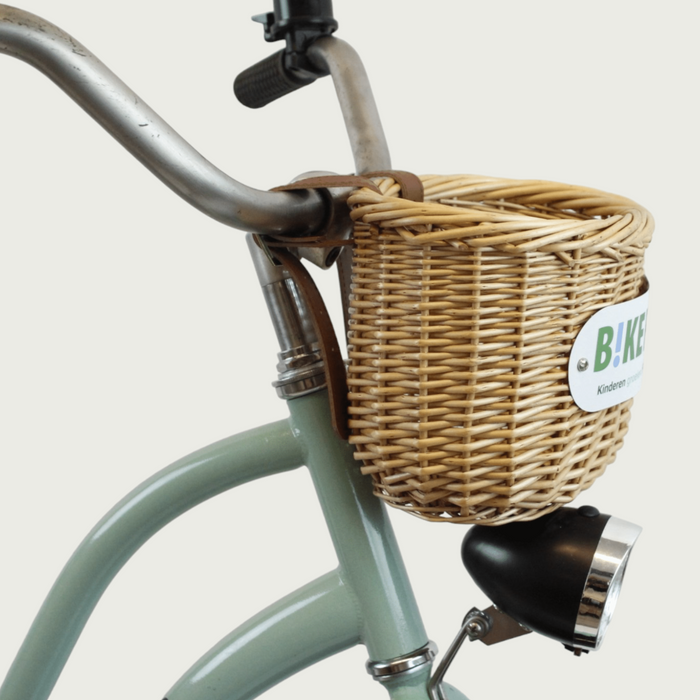 20.274 - BikeFlip