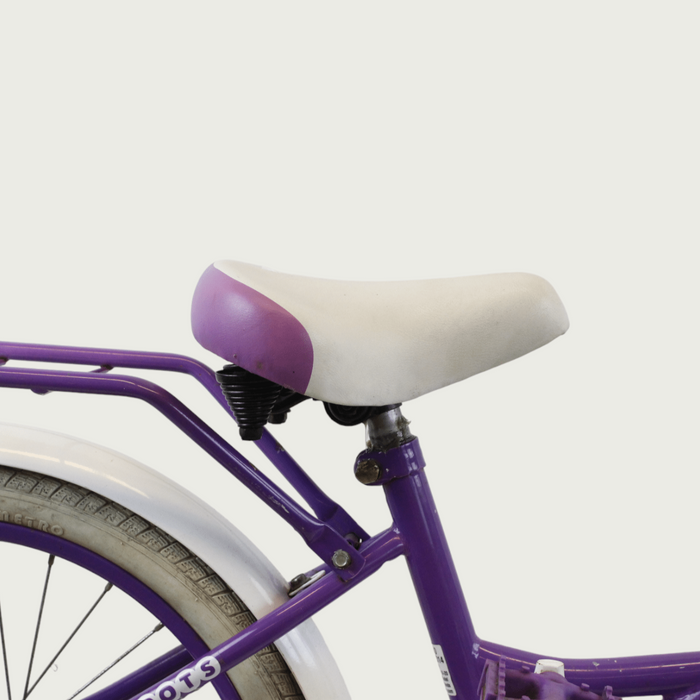20.276 - BikeFlip