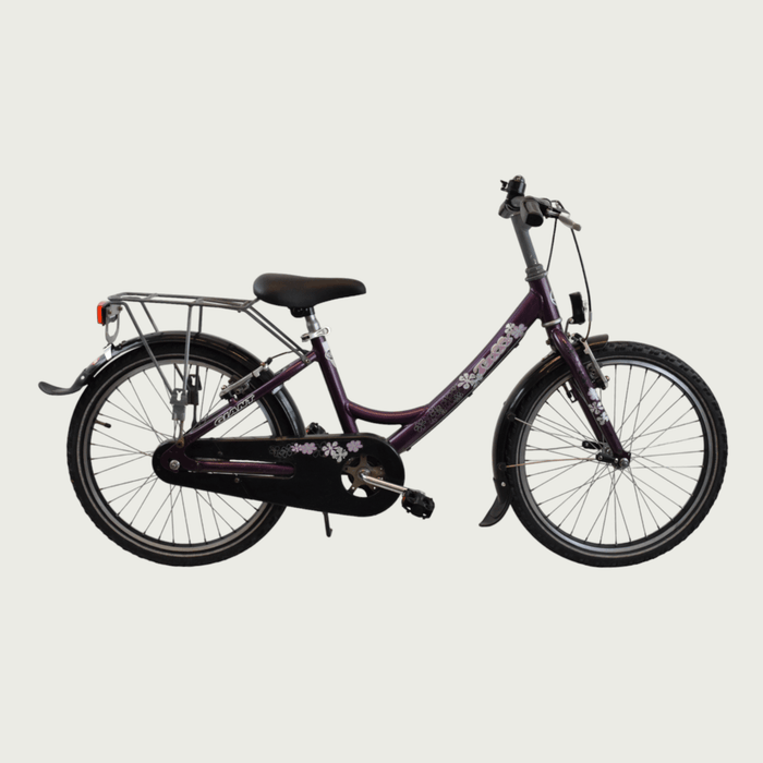 20.302 - BikeFlip