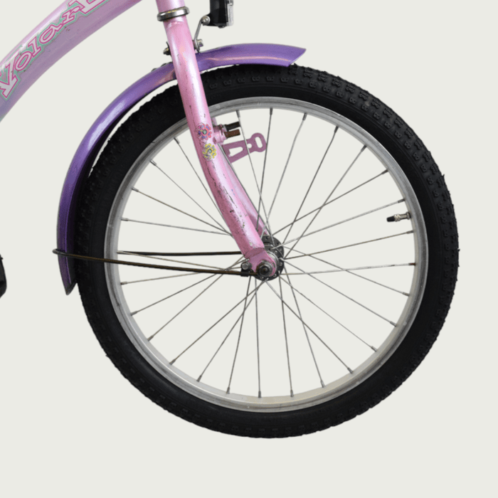 20.304 - BikeFlip