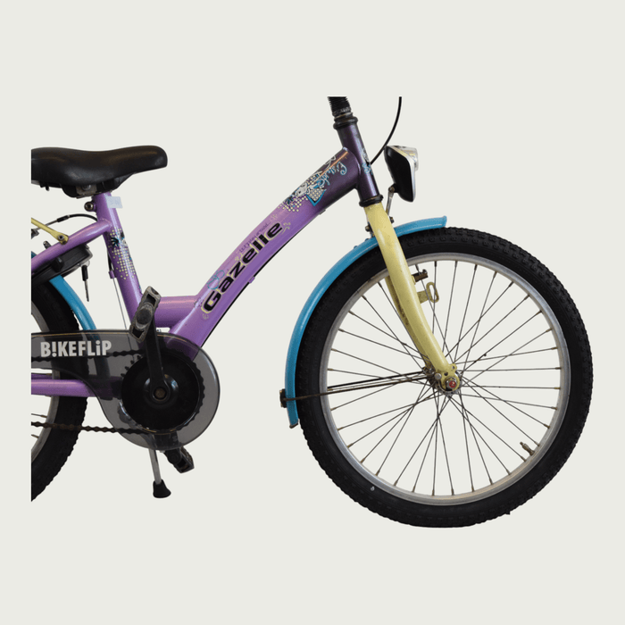 20.313 - BikeFlip