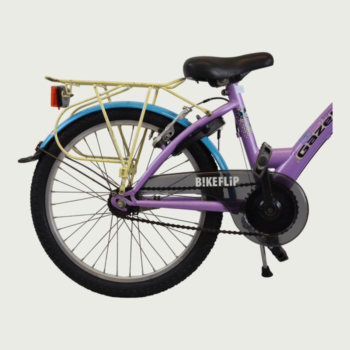20.313 - BikeFlip
