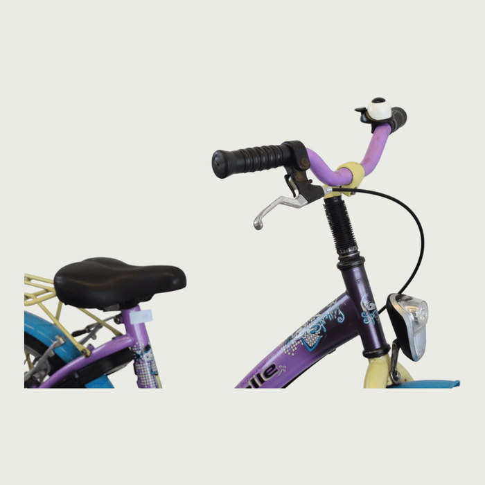 20.313 - BikeFlip