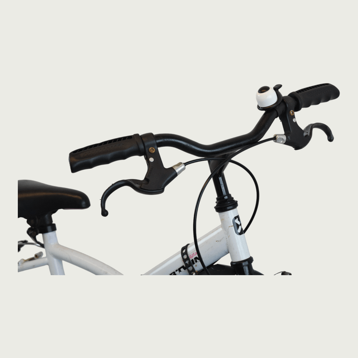 20.315 - BikeFlip
