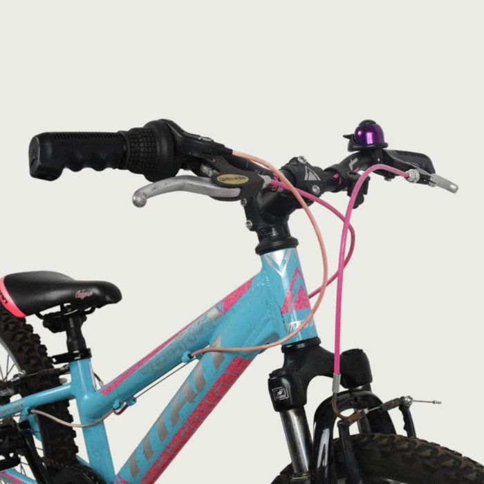 20.393 - BikeFlip