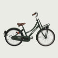 20.419 - BikeFlip