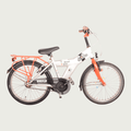 20.452 - BikeFlip