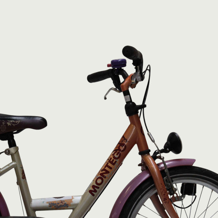20.53 - BikeFlip