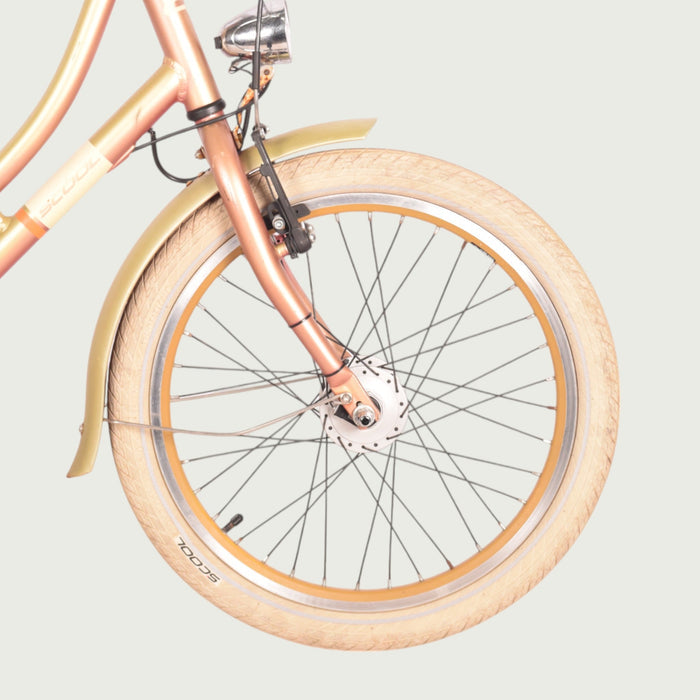 20.623 - BikeFlip