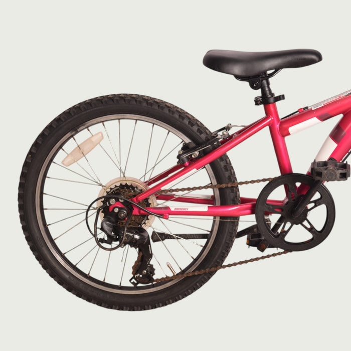 20.631 - BikeFlip