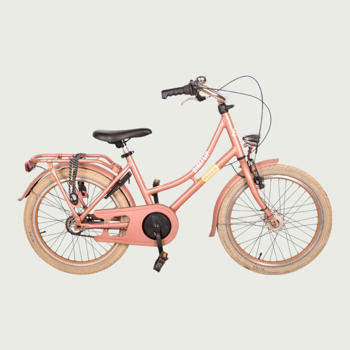 20.658 - BikeFlip