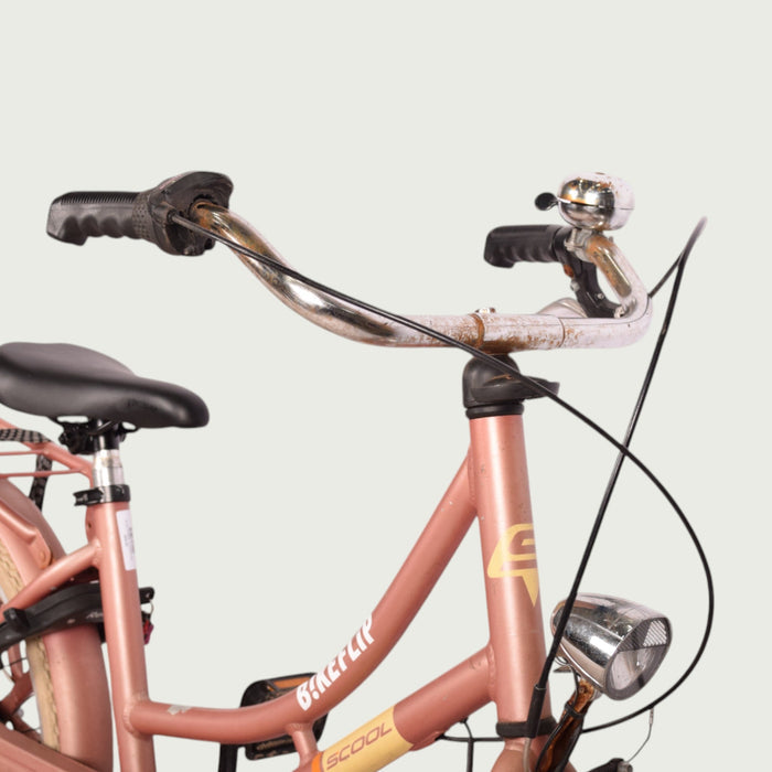 20.658 - BikeFlip