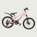 20.787 - BikeFlip