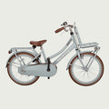 20.834P - BikeFlip
