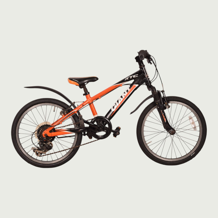 20.894 - BikeFlip