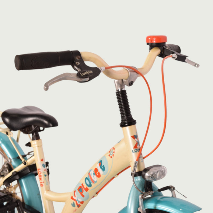 20.895 - BikeFlip