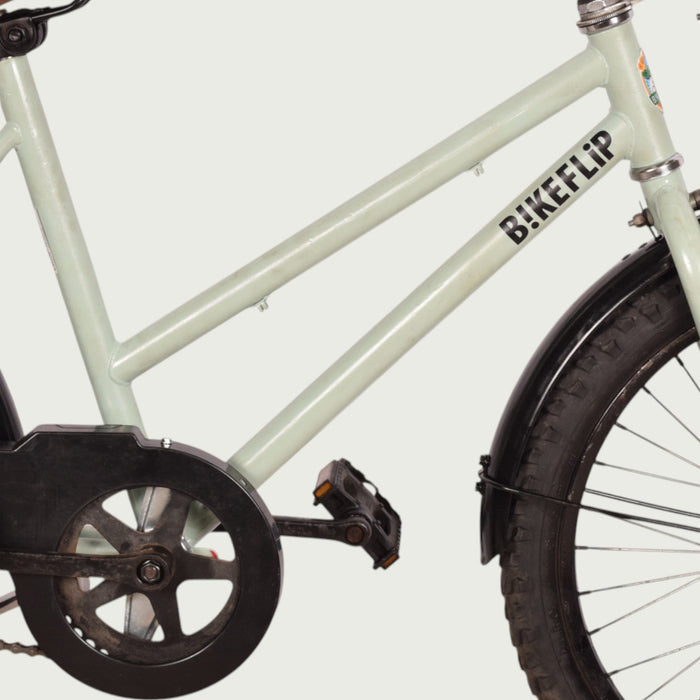 20.929 kinderfiets - BikeFlip