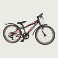 20.996 kinderfiets - BikeFlip