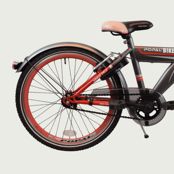 22.107 - BikeFlip