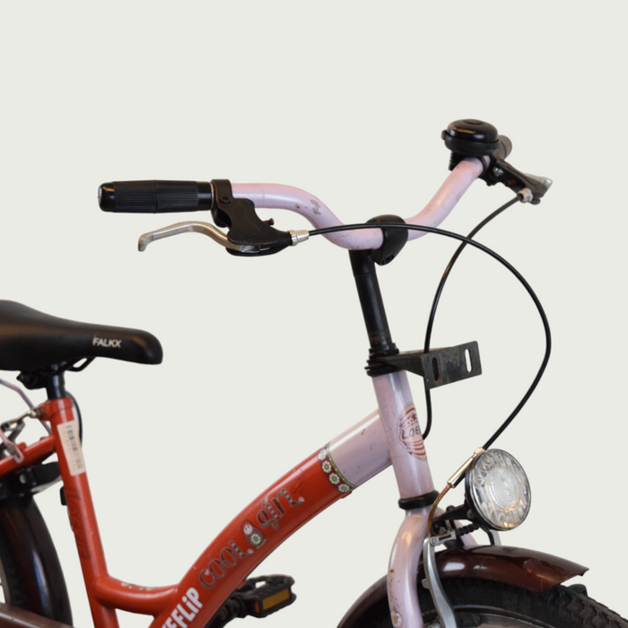 22.114 - BikeFlip