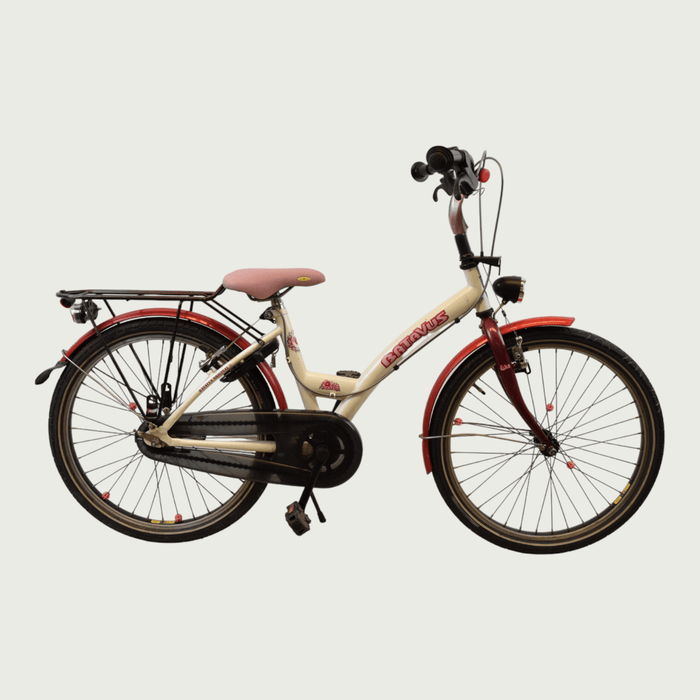 22.121 - BikeFlip