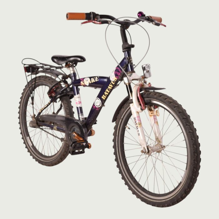 22.163 kinderfiets - BikeFlip