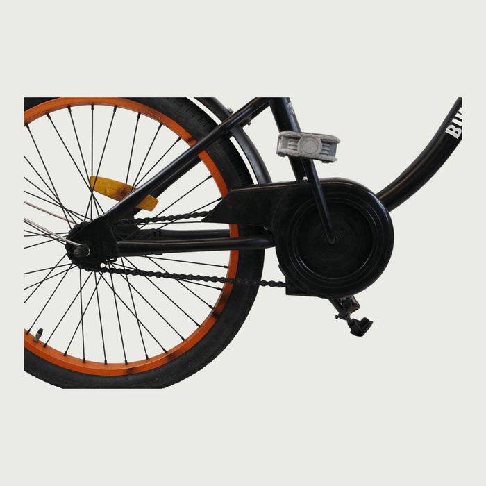22.16 - BikeFlip
