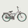 22.193 - BikeFlip