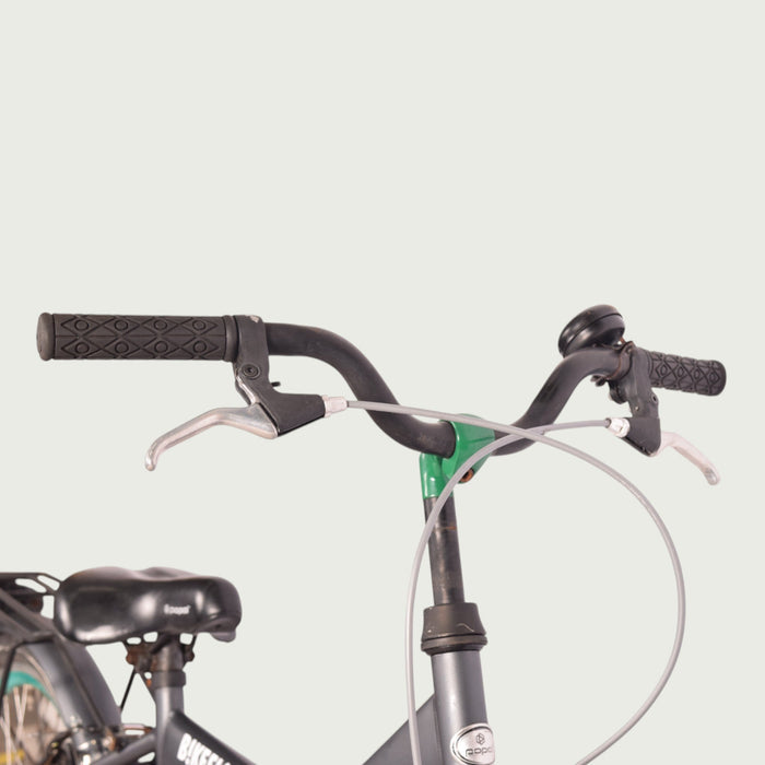 22.193 - BikeFlip