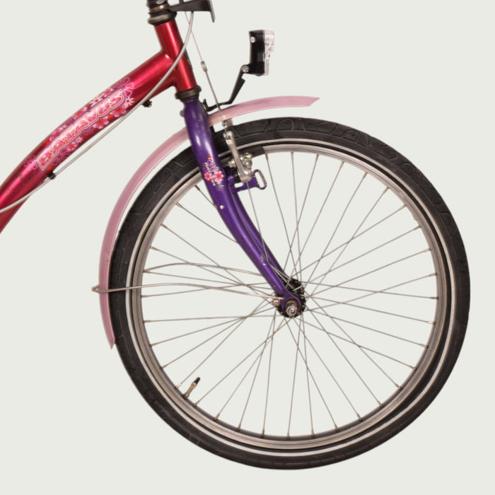 22.229 - BikeFlip