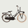 22.231 - BikeFlip