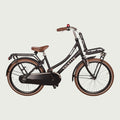 22.245P - BikeFlip