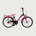 22.27 - BikeFlip