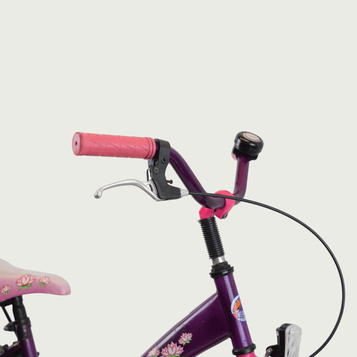 22.27 - BikeFlip