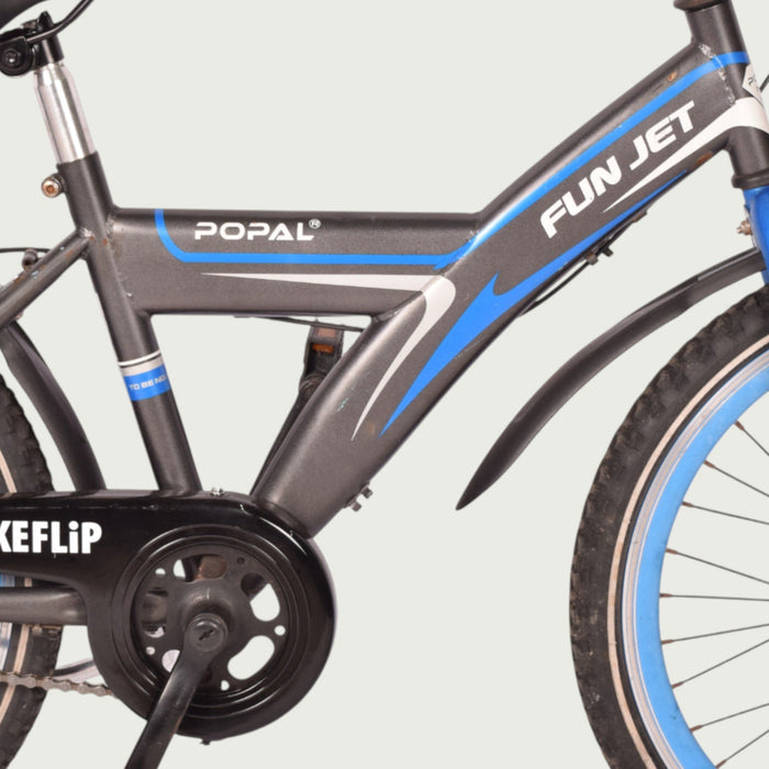 22.295 kinderfiets - BikeFlip
