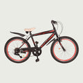 22.313 kinderfiets - BikeFlip