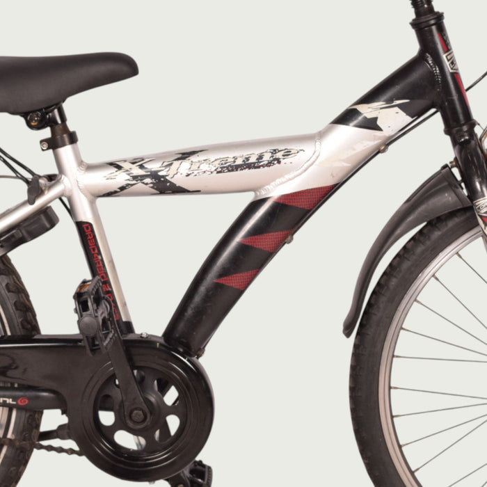 22.316 kinderfiets - BikeFlip