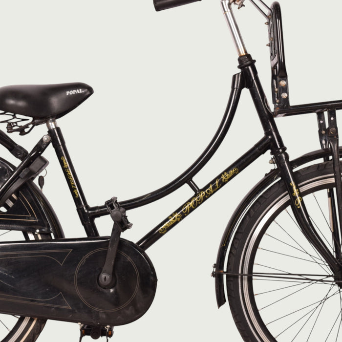 22.337 kinderfiets - BikeFlip