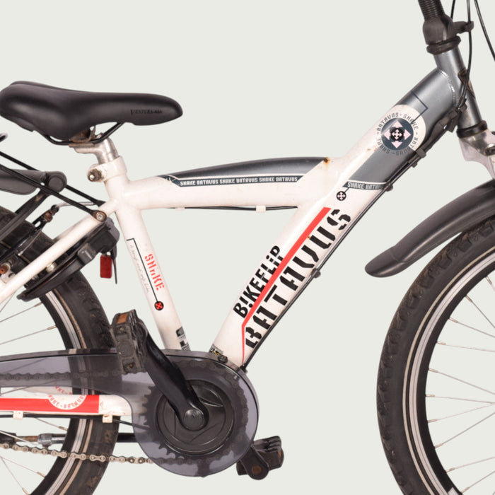 22.356 kinderfiets - BikeFlip