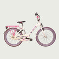 22.433 kinderfiets - BikeFlip