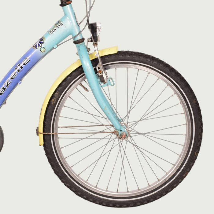 22.439 kinderfiets - BikeFlip