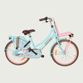 22.462 kinderfiets - BikeFlip