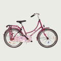 22.478 kinderfiets - BikeFlip